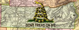 Lewis County Tea Party